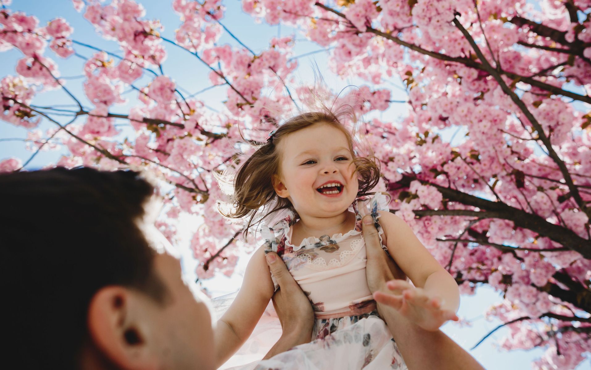 První máj: svátek práce, lásky, nebo svatého Josefa?