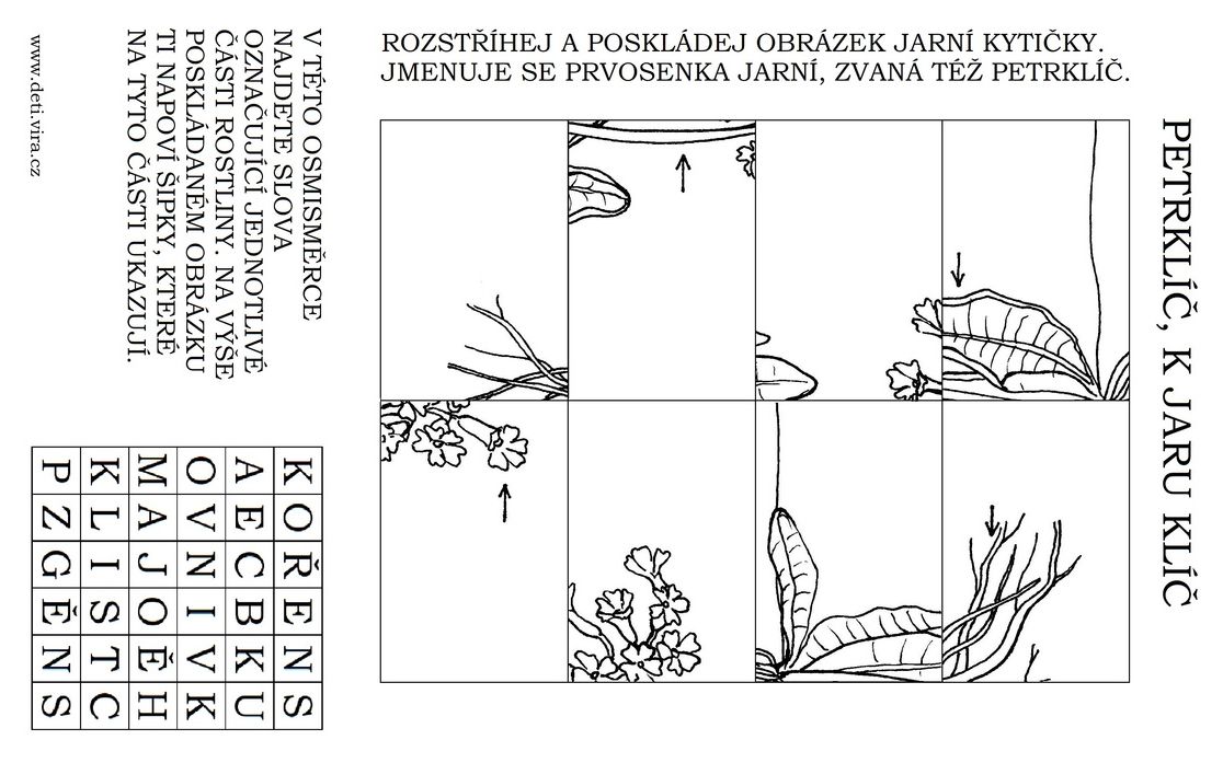 rébus a vystřihovánka petrklíče 