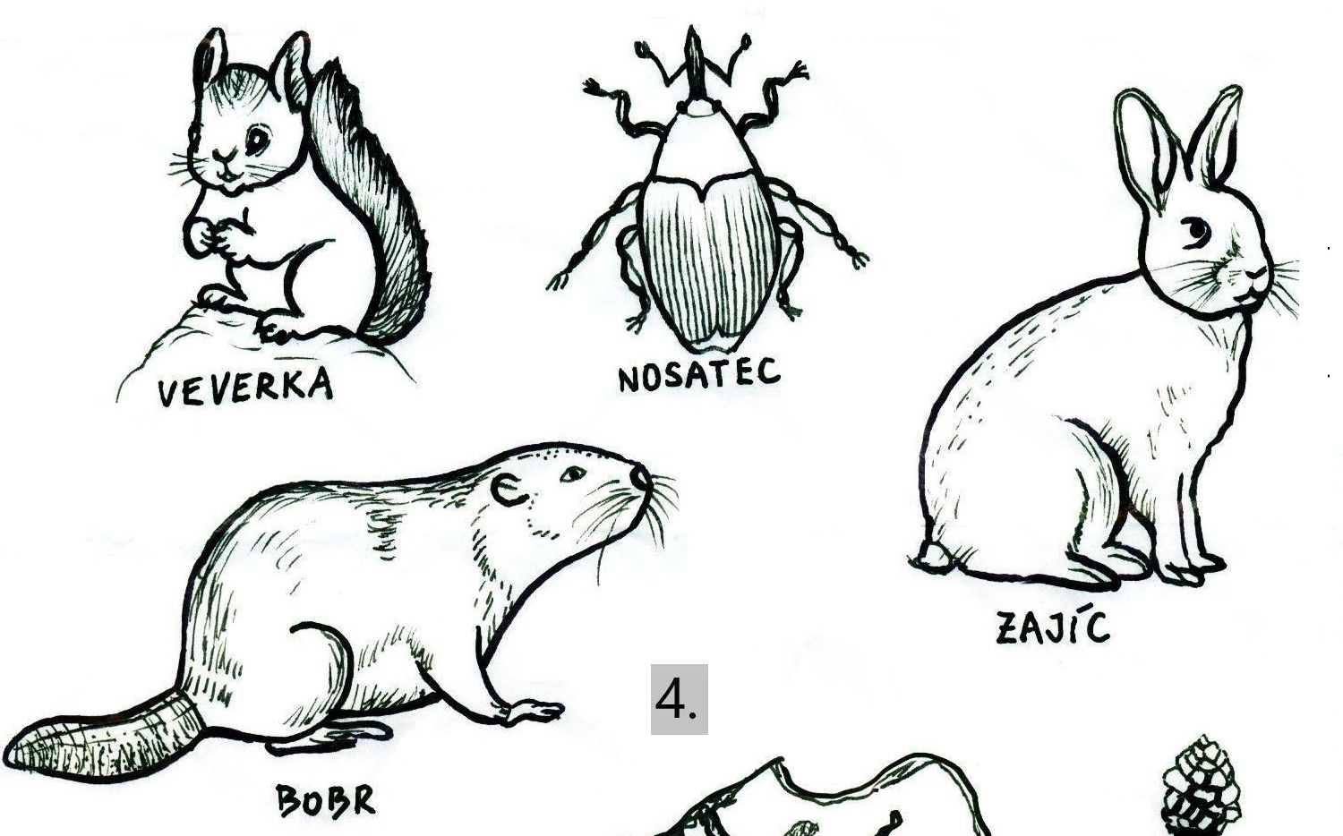 Příroda plná malých tajemství - podzimní pracovní list